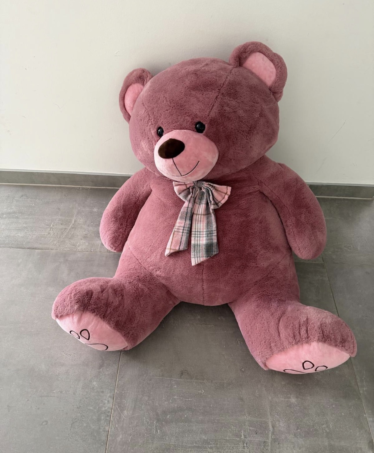 Rexy the Teddy before the adventure